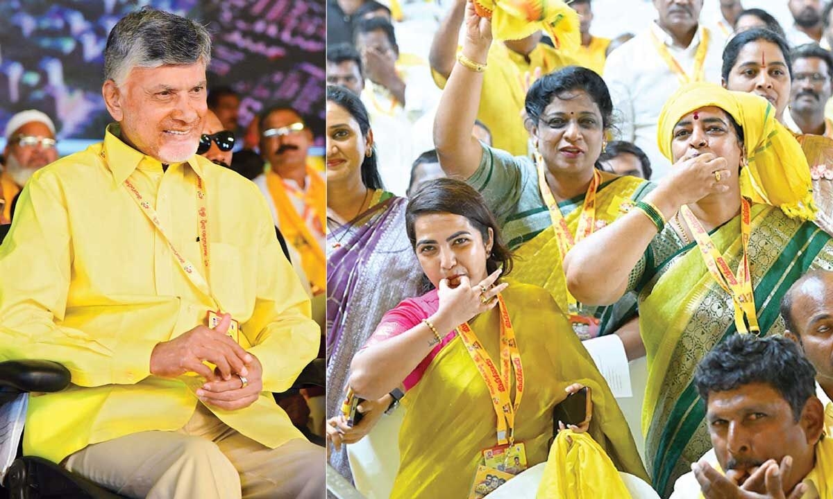 Party leaders and cadre TDP's strength: Naidu