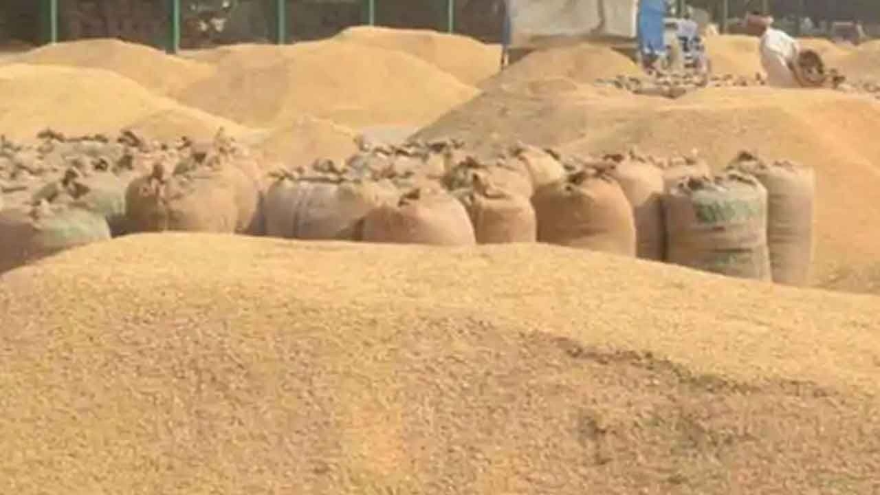 India's food production surges to record high of 354 million tonnes in 2024-25