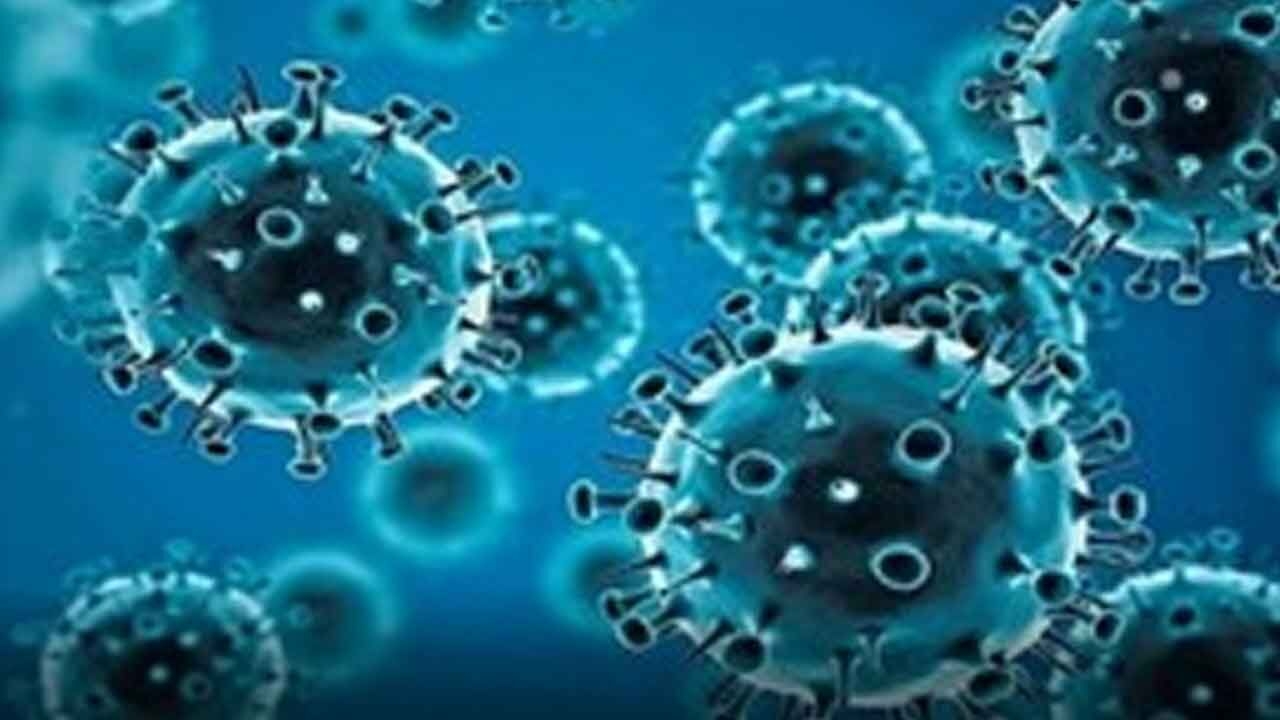 Rajasthan records 15 fresh Covid cases