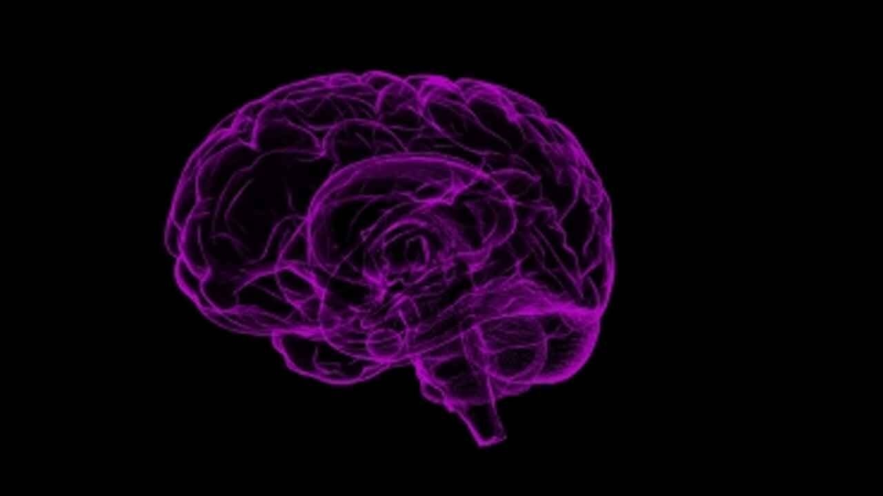 Study finds common gene variant that doubles dementia risk for men