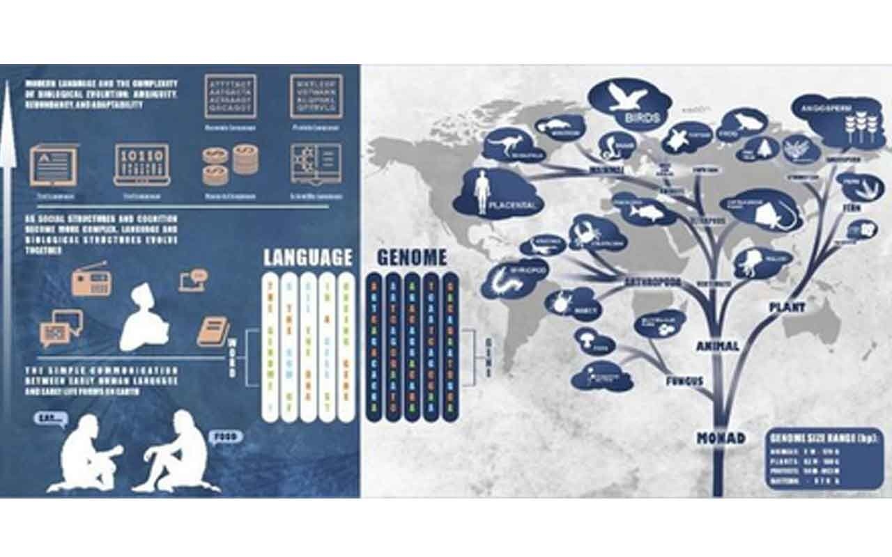 Large language models can accurately predict plant gene functions: Study