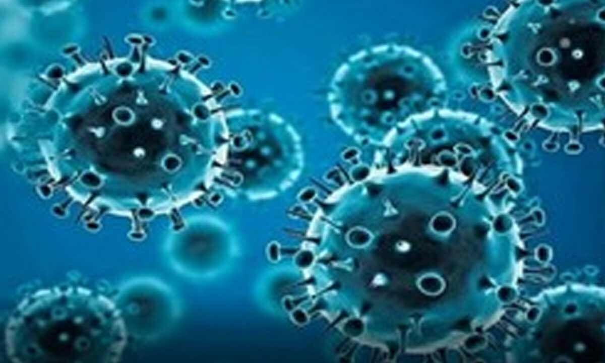 IIT Madras study shows viruses follow seasonal and yearly cycles