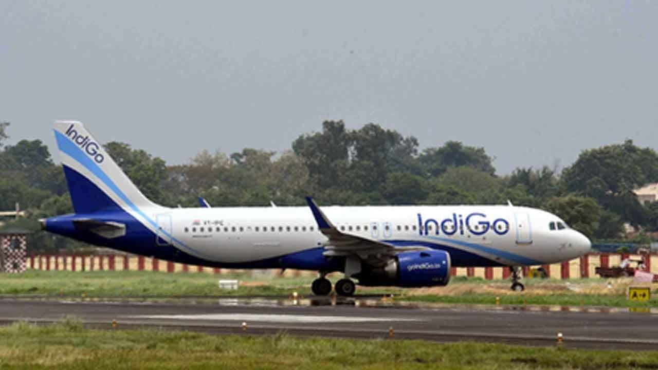 IndiGo flight makes emergency landing in Ranchi after mid-air collision with vulture