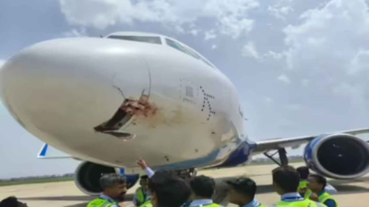 Bird-hit IndiGo flight makes emergency landing at Ranchi