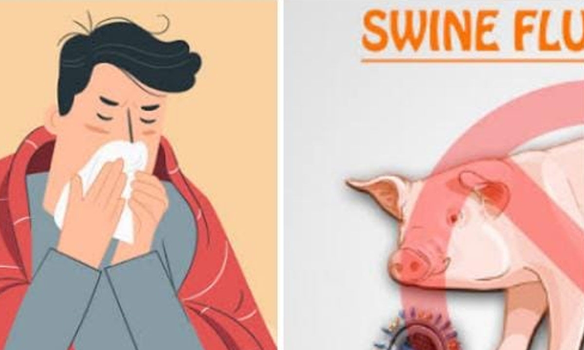 African swine fever outbreak in Bagalkot amid Covid-19 concerns