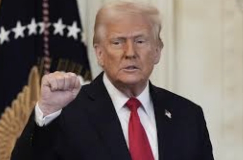 Trump's tariff surge to drag US growth to 1.6% in 2025, global growth down to 2.9%: OECD