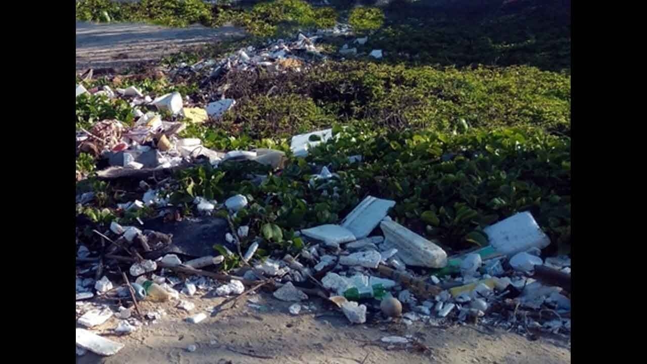 After plastic found in dead elephant's belly, TN forest division flags open waste dumping