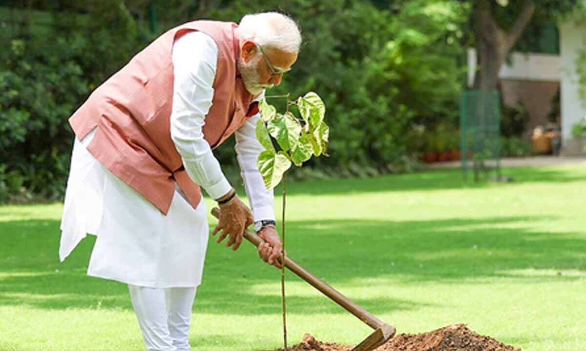 PM Modi launches ‘Aravali Green Wall' project by planting sapling under Ek Ped Maa Ke Naam initiative