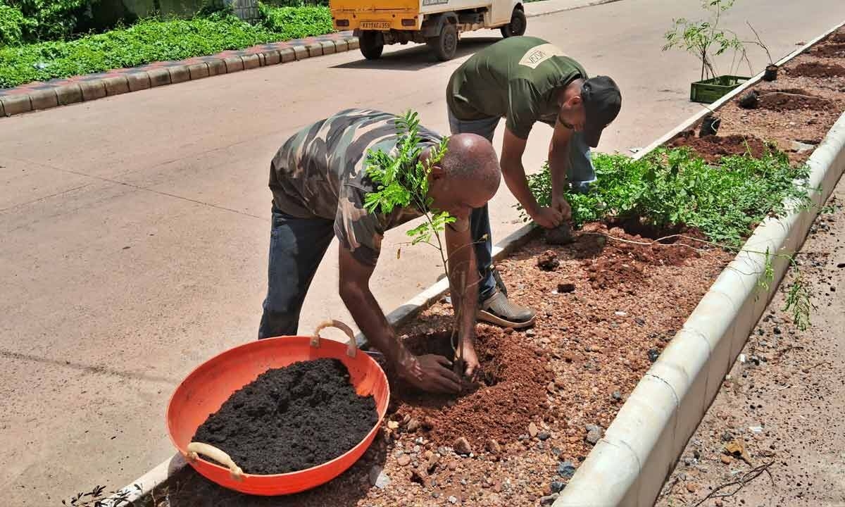Mangaluru Man's Green Crusade: 4,300 Trees for a Cleaner, Greener Coast