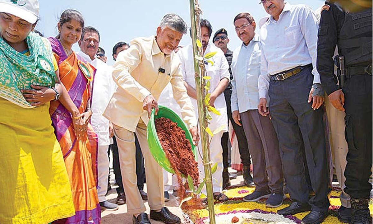 CM sets ambitious green cover target of 50% by 2047