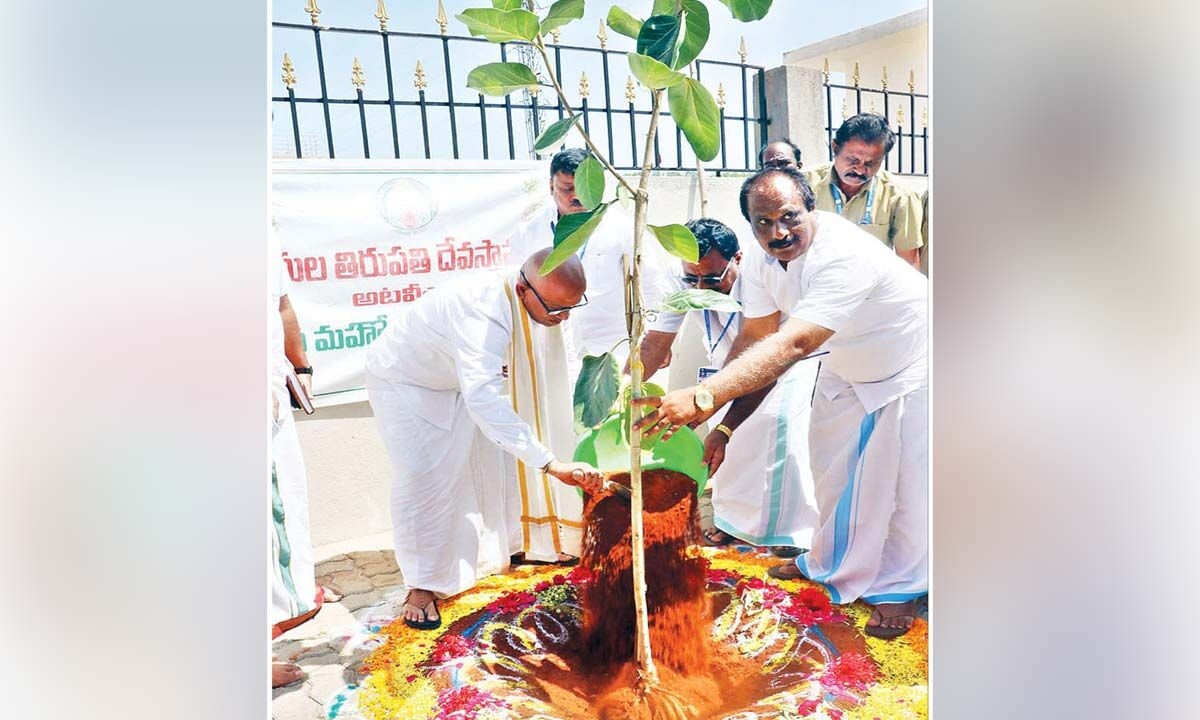 Saplings planted in Tirumala