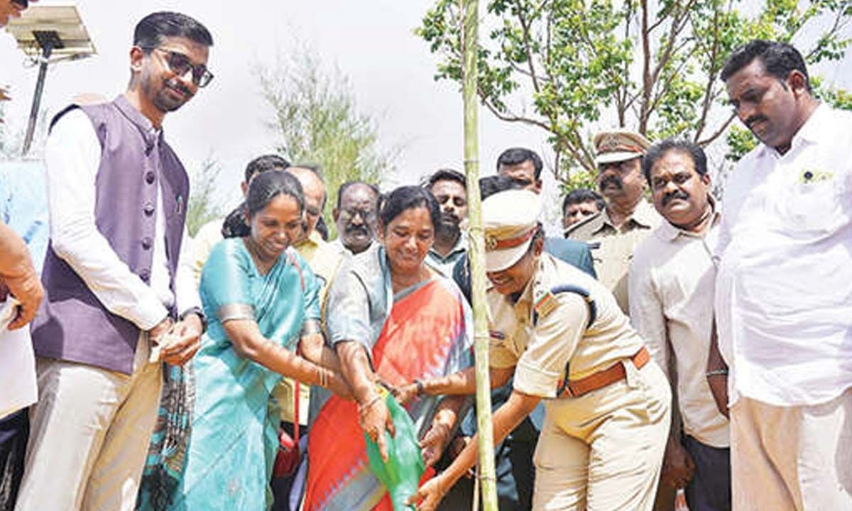 MLA Sunitha urges public to avoid cutting down trees