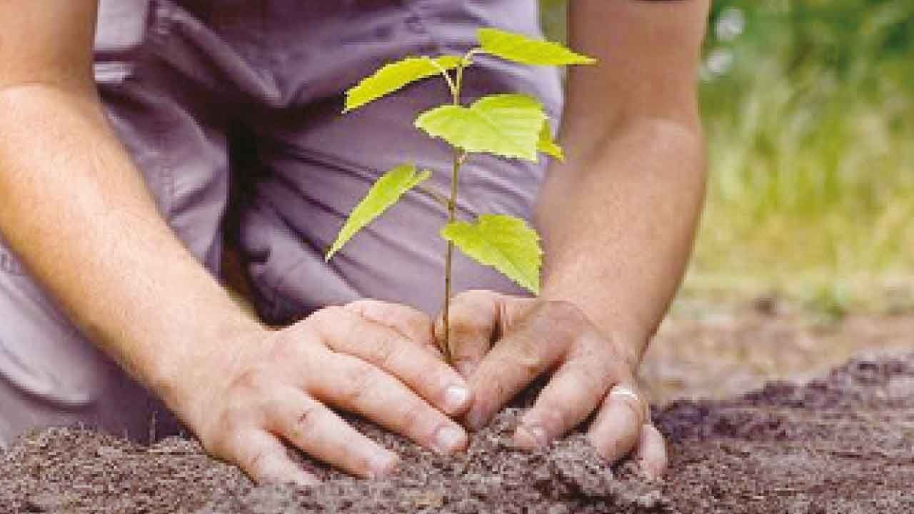 TG govt rolls up sleeves to paint the state green
