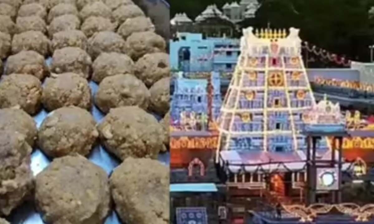 TTD ghee scam probe targets former top officials
