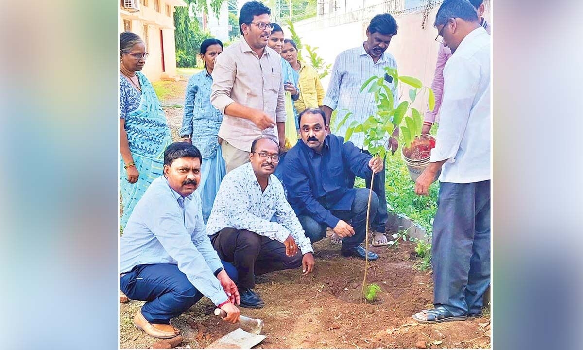 Green message echoes at Bapu Museum