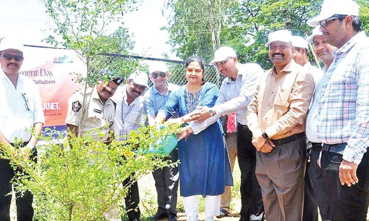 Bank of Baroda launches tree plantation drive