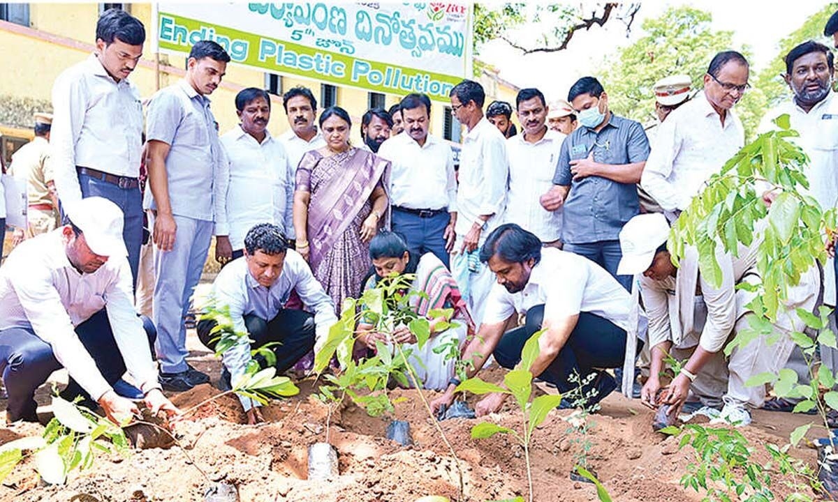 Protect saplings to benefit future generations