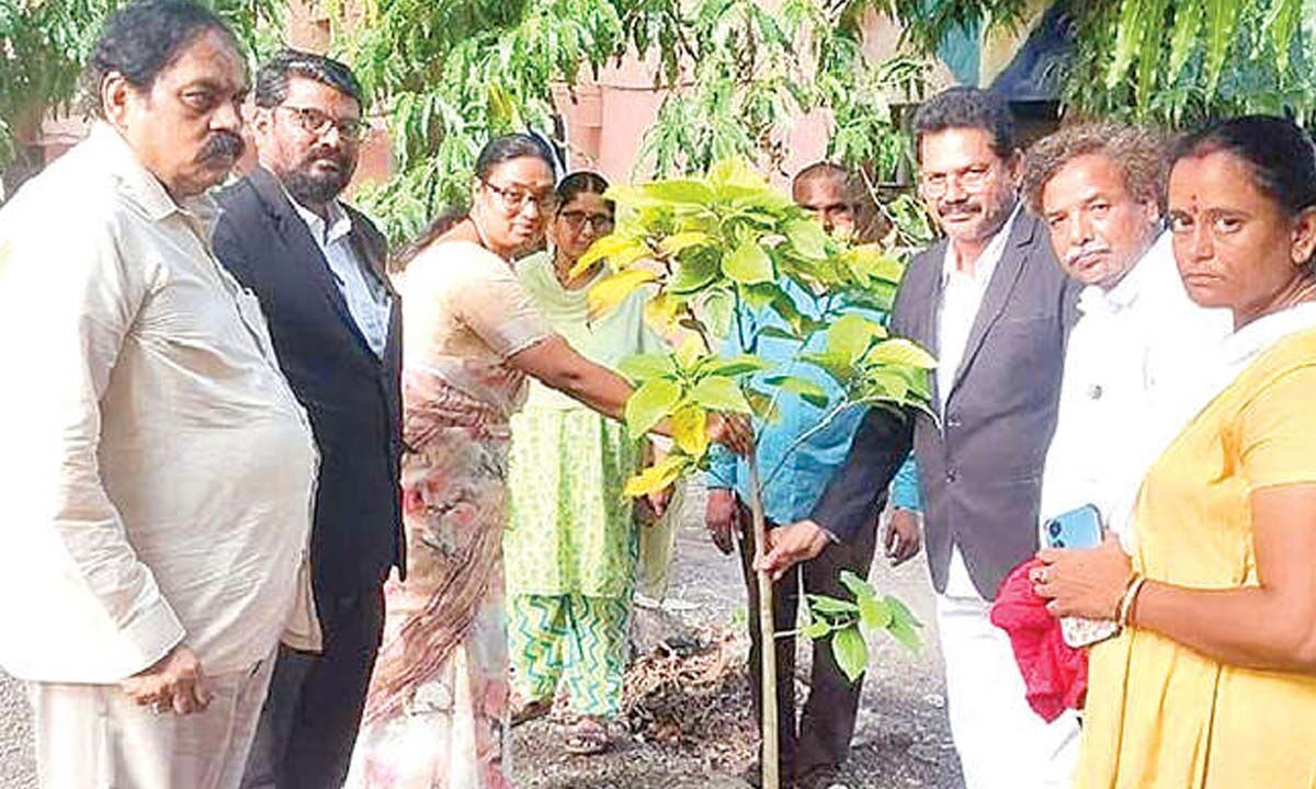 Saplings planted at Bezwada Court Complex