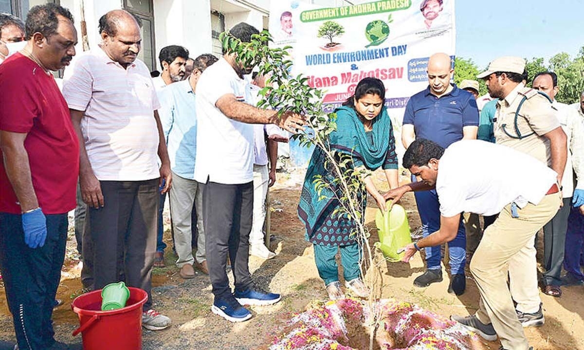 People urged to plant saplings to improve greenery