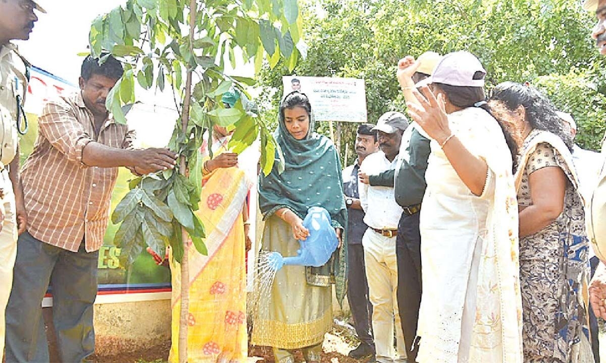 Move to increase forest cover from 36 to 50% in Prakasam