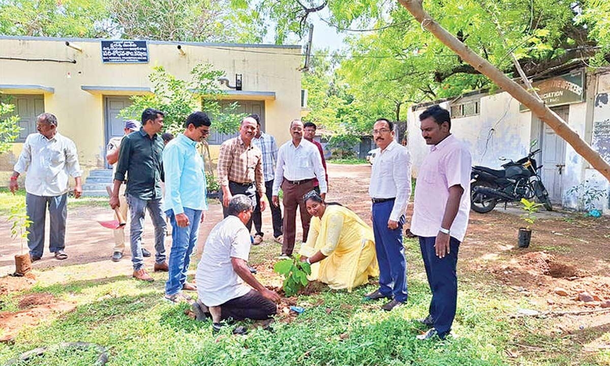 Sapling planted on World Environment Day in Kurnool