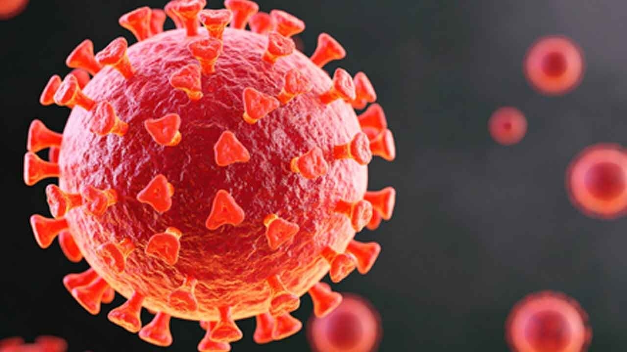 Study shows how Covid virus shields itself during replication
