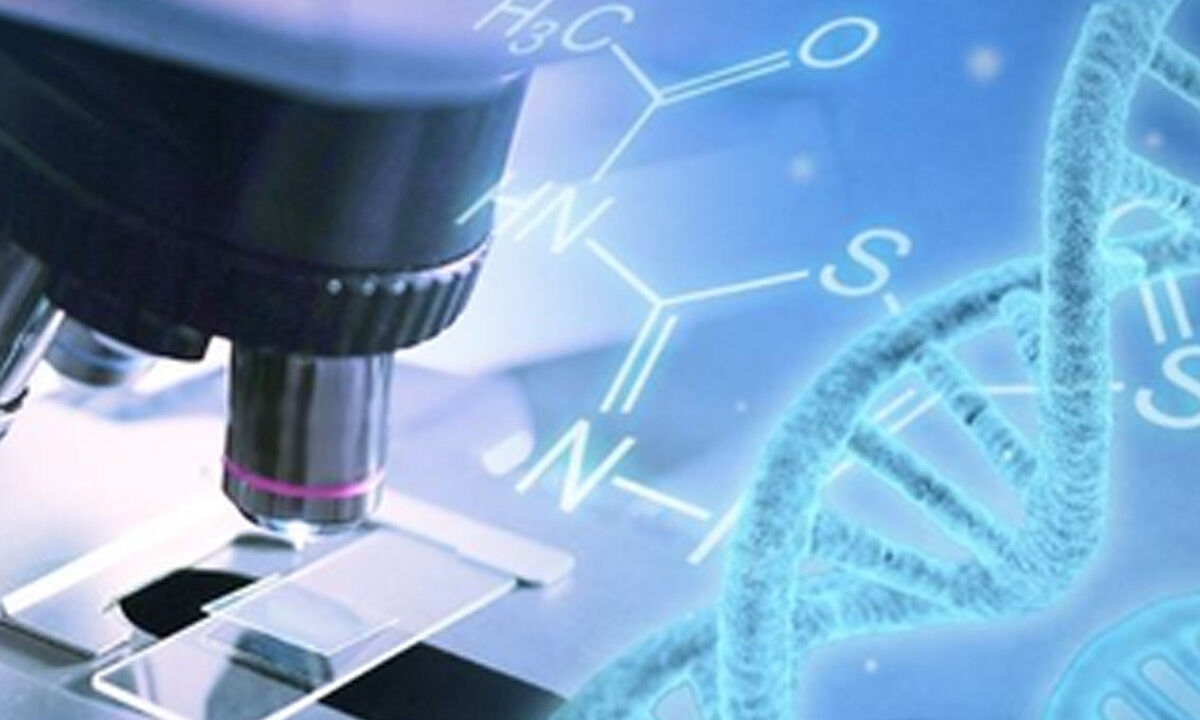 Alzheimer's gene therapy shows promise to prevent brain damage