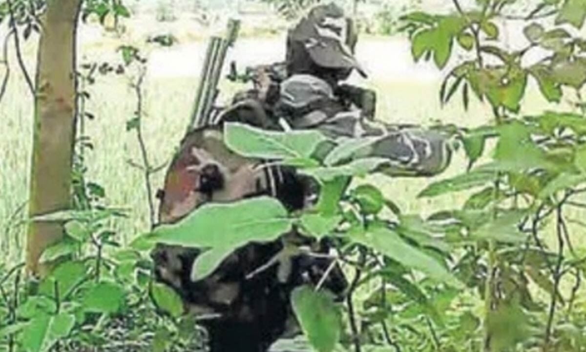 Chhattisgarh: Seven Maoists killed in Indravati National Park operation