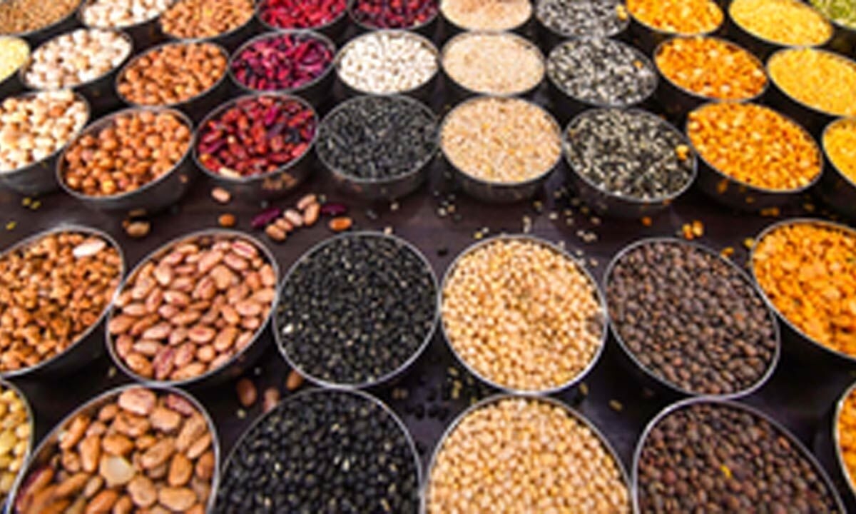 Fermenting legumes, pulses can boost antioxidant, antidiabetic properties: Study