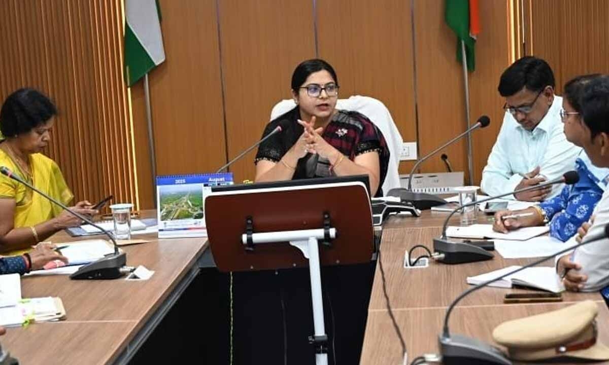 Take steps for development work in forest areas: Collector Abhilasha