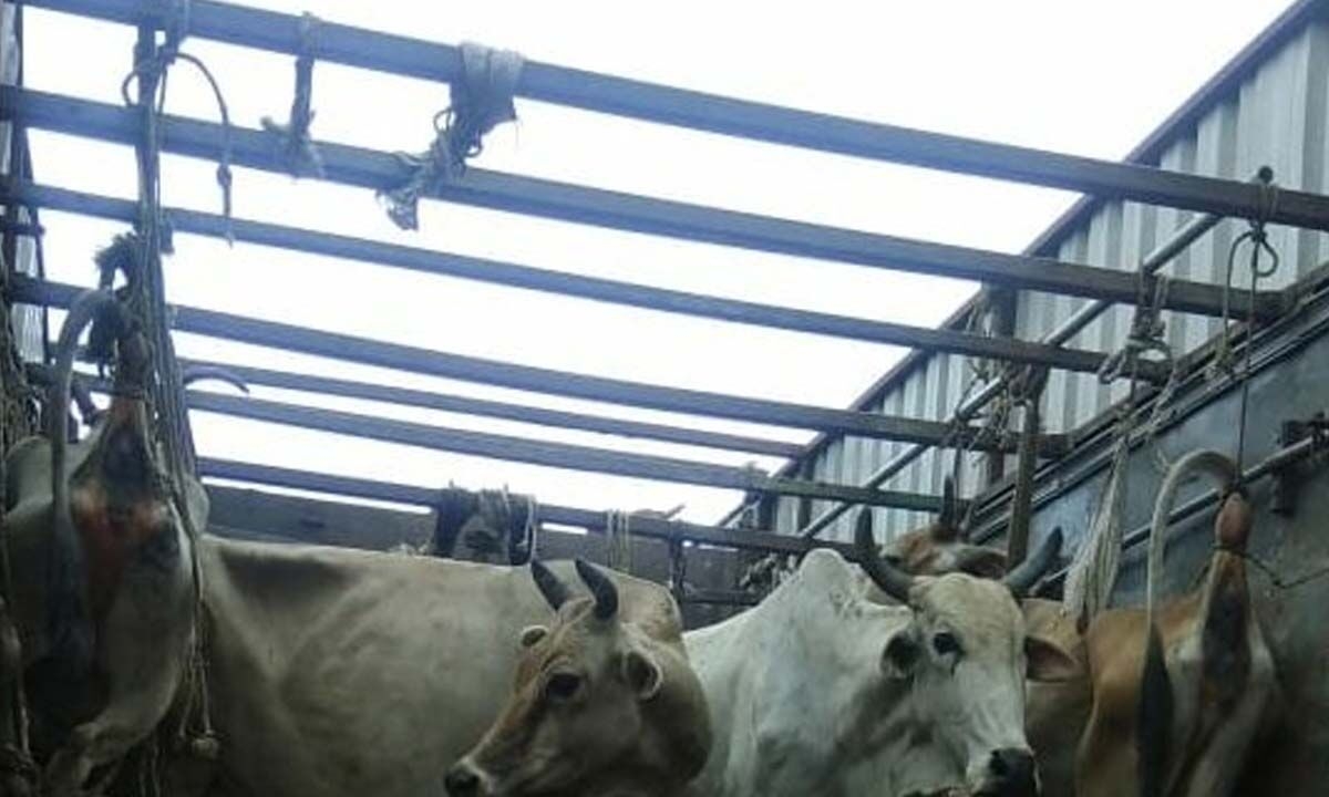 One dies in clash over cattle smuggling