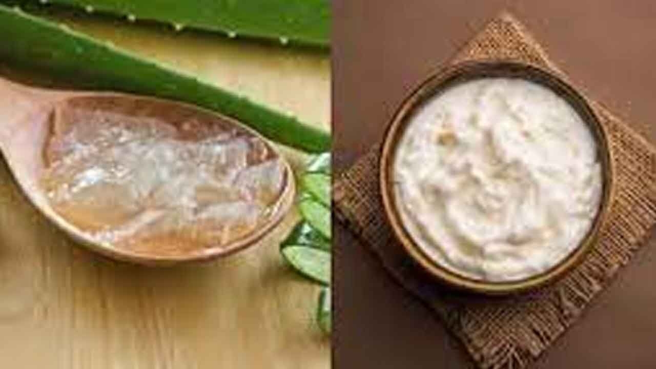 Aloe Vera vs Malai: Which Natural Ingredient Truly Enhances Your Glow?