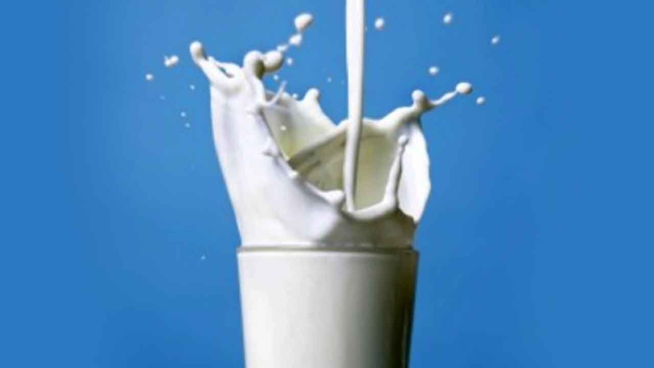 Himachal first to procure cow, buffalo milk on MSP