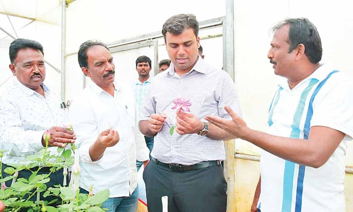Seema's rose farmer blooms big on the global market