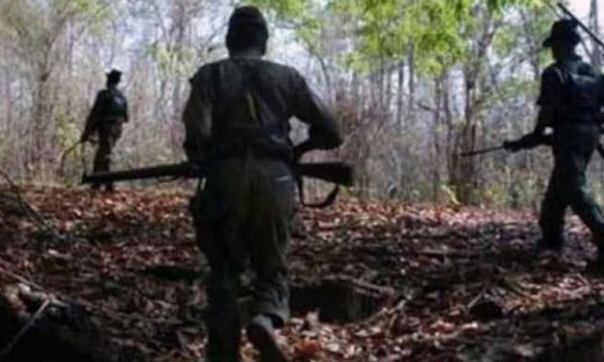 Three Maoists killed in Maredumilli forest encounter in Alluri district