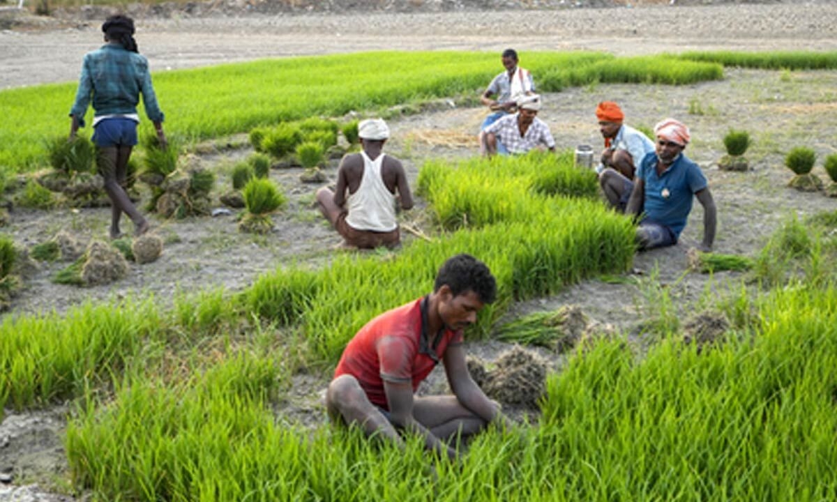 Inflation eases further in May for India's farm and rural workers
