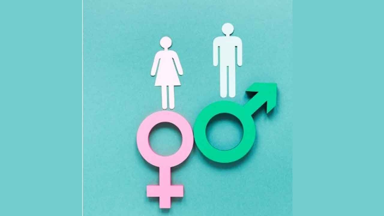 Himachal's sex ratio records improvement, touches 964 in 2024