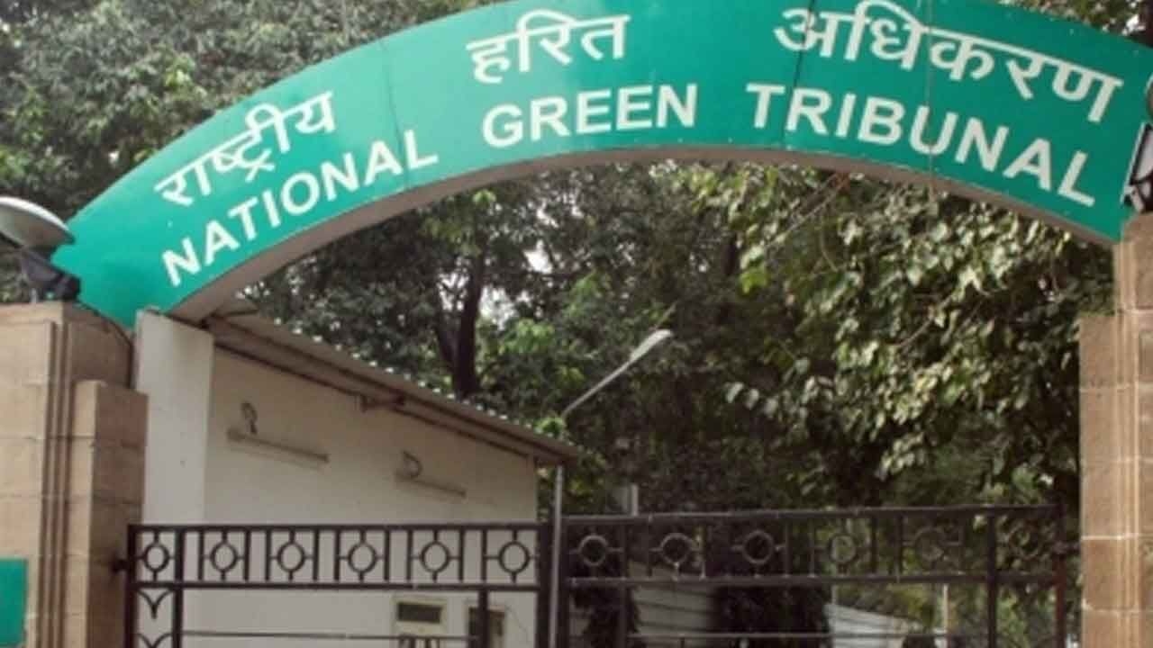 NGT takes suo motu cognisance of environmental degradation of Nagpur's Futala Lake