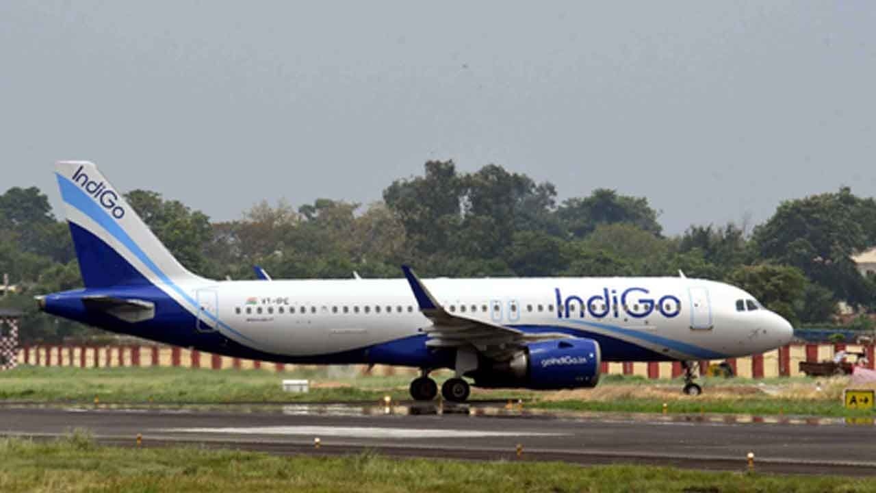 'Stitch slippers' row at IndiGo: Airline refutes ‘baseless' claims