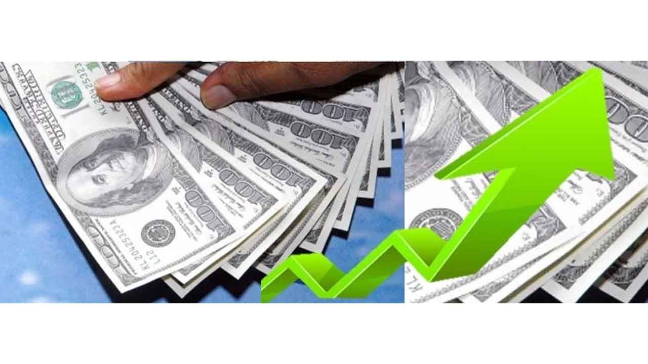 Number of India's dollar millionaires to surge 55% by 2029
