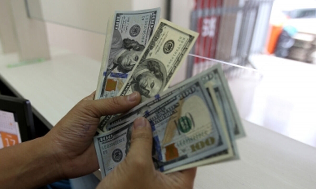US Senate reduces remittance tax to 1 pc from 3.5 pc in relief for NRIs