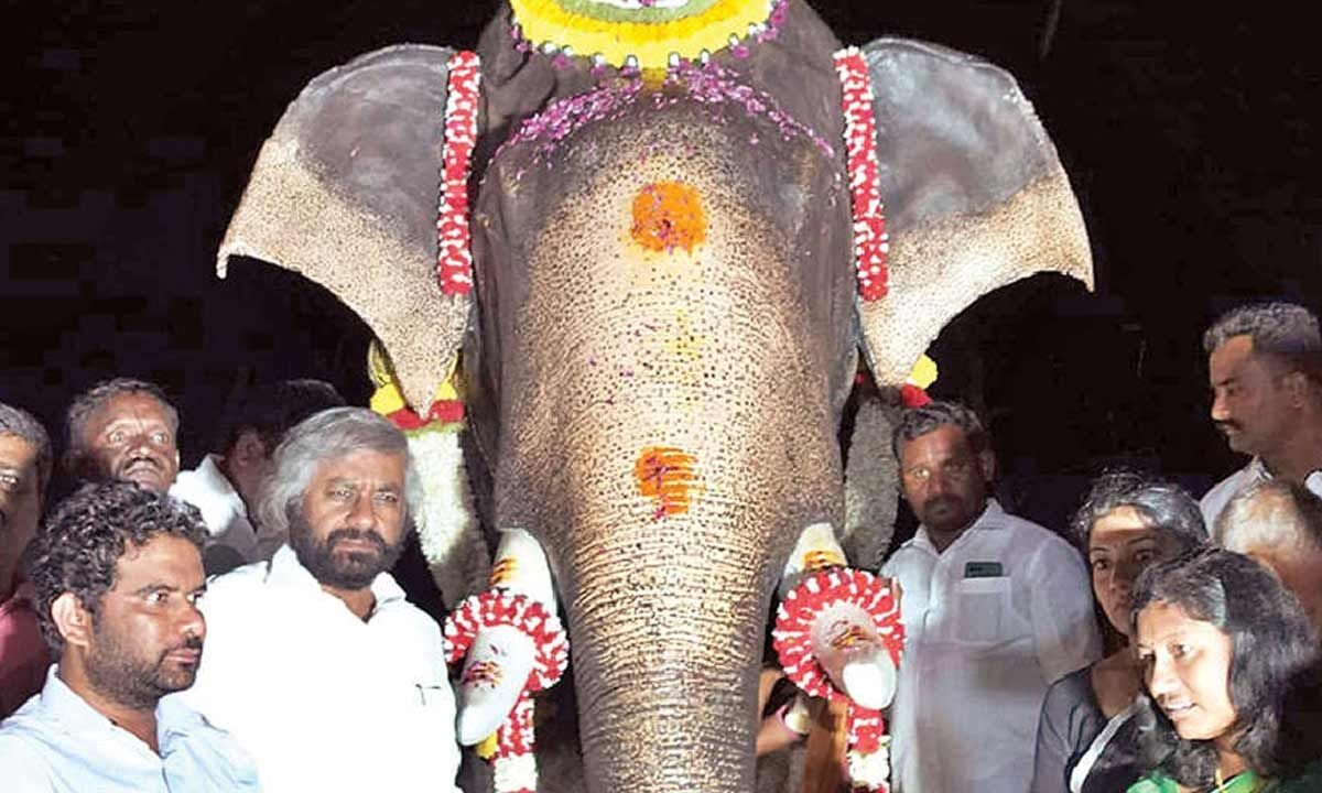 Minister opens memorial for Dasara jumbo captain Arjuna