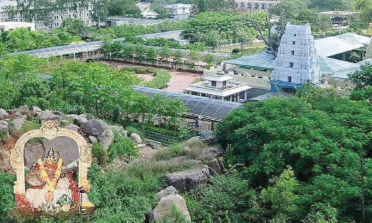 Basara temple devpt hit by mismanagement