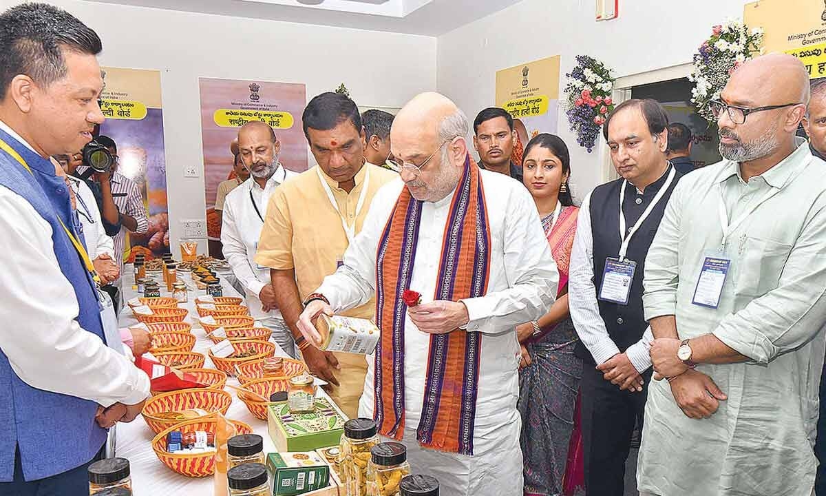 Turmeric farmers part of PM Modi's vision of $1 billion exports by 2030: Amit Shah