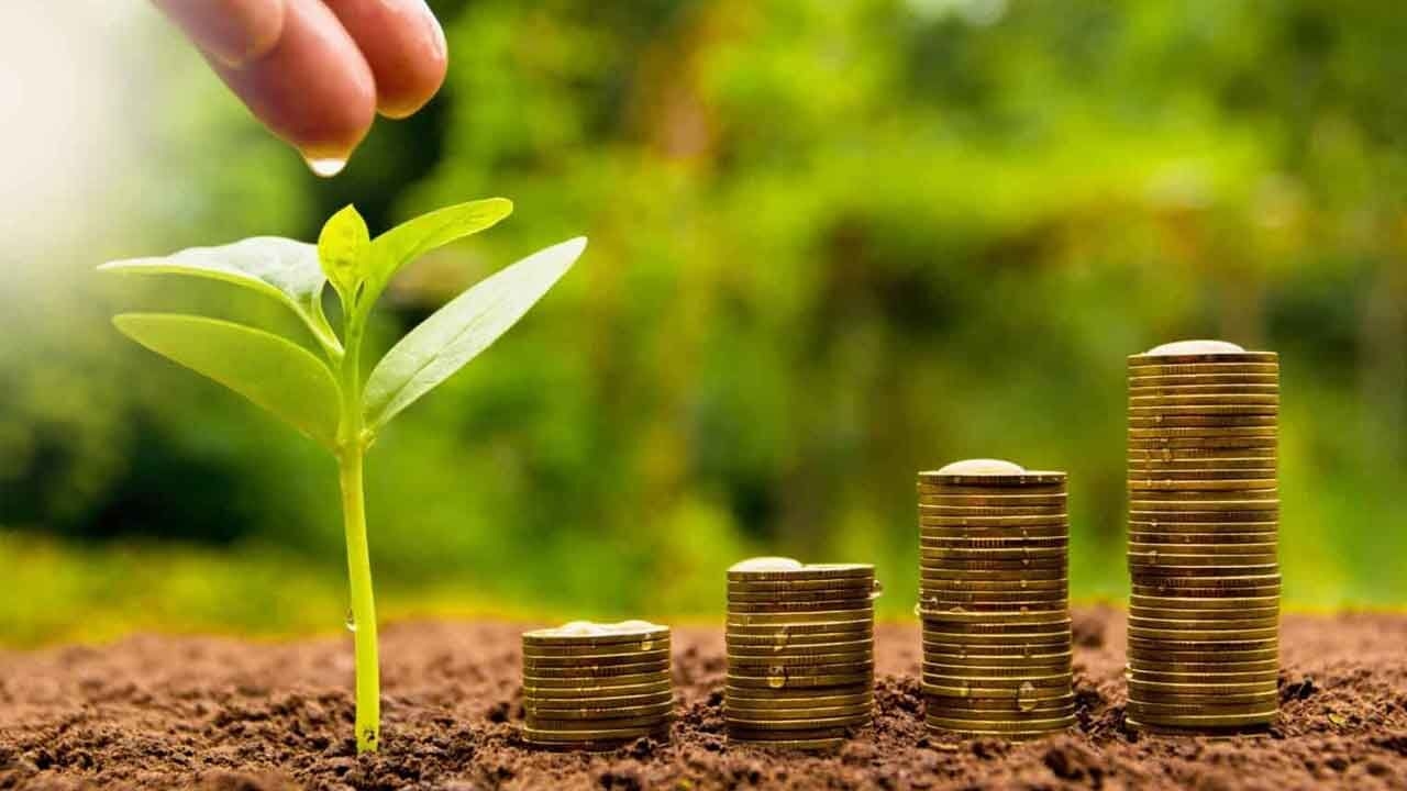 Owning lands and the sentiments that go with it