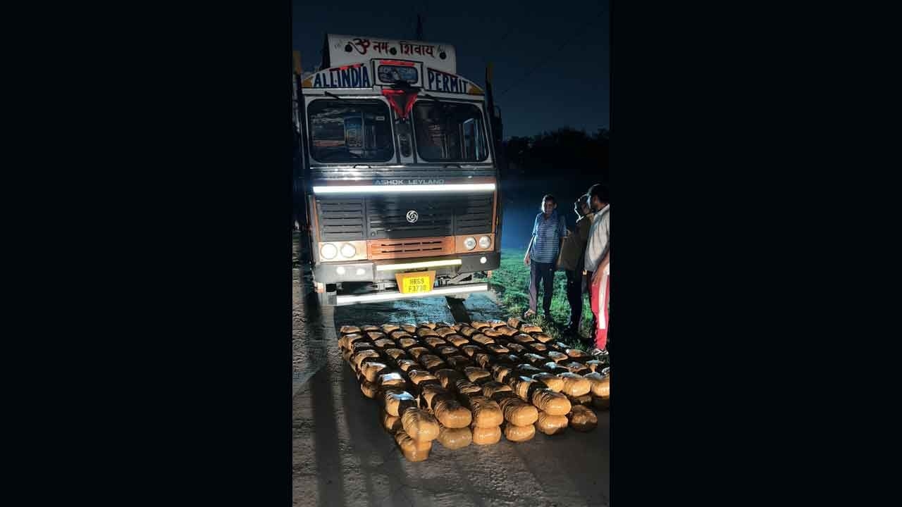 Delhi Police bust interstate drug network, recover 313 kg ganja