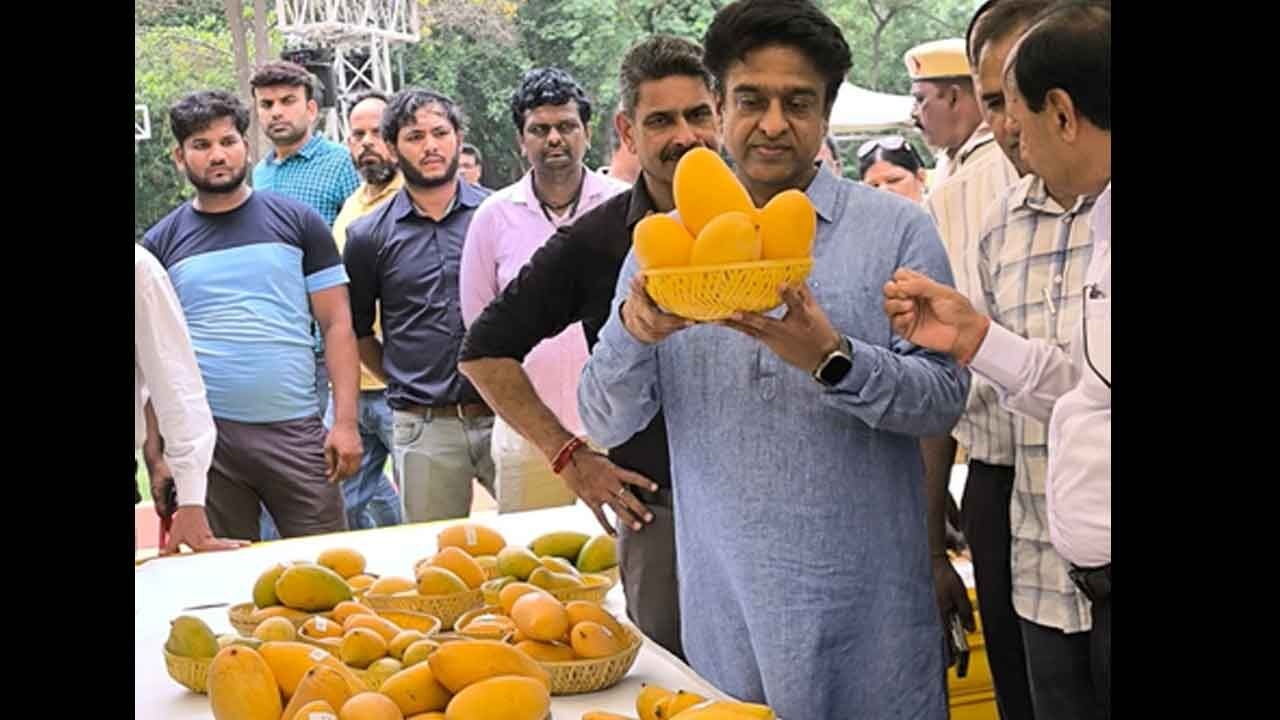 Delhi: NDMC's two-day ‘Mango Festival' enthrals diplomats, fruit lovers