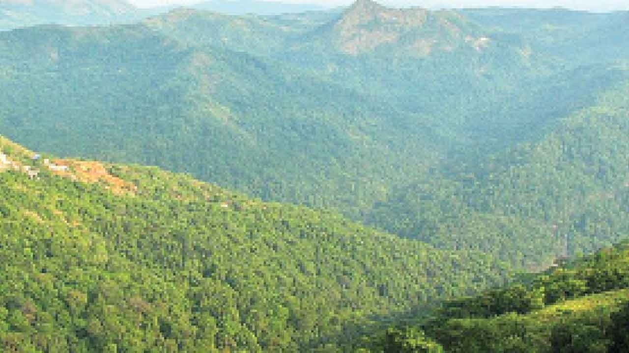 Setback for Yettinahole project as forest panel rejects extra land approval
