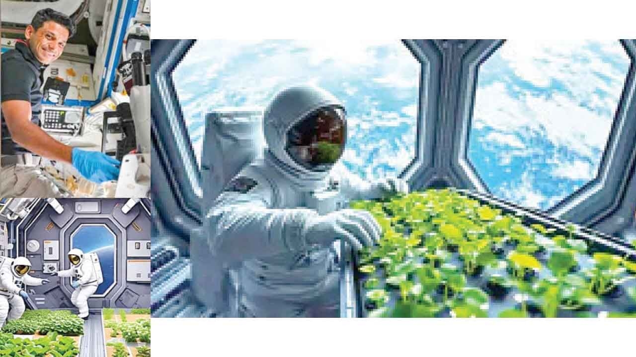 Astronaut Shukla grows methi, moong on ISS
