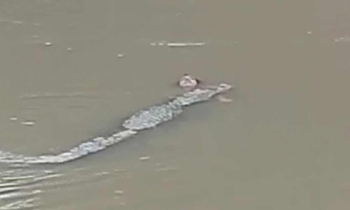 Crocodile kills woman collecting water in MP river